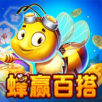 蜂赢百搭